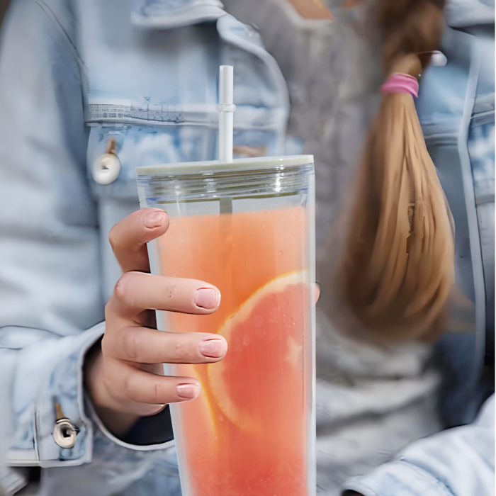 AGH US 24 OZ Double wall plastic tumbler Snow globe acrylic cups with lids and straw mixed color 15pcs/carton