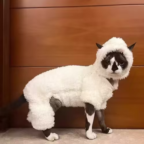 Dog clothes winter fleece warm pet clothes teddy corgi Pomeranian corgi small and medium-sized dog pet clothes