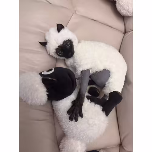 Dog clothes winter fleece warm pet clothes teddy corgi Pomeranian corgi small and medium-sized dog pet clothes