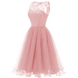 Women's Lace Sleeveless Cocktail Party Dresses