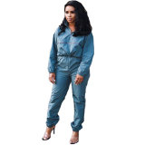 Turn-down Neck Long Sleeve Two Pieces Set