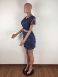 Lace Embroidered Backless Crop Top and Skirts Set