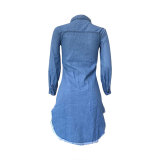 Shredded Tassel Irregular Denim Dress