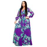 Printed V Neck Long Sleeve Maxi Dress