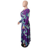 Printed V Neck Long Sleeve Maxi Dress