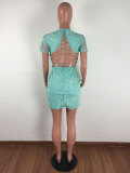 Lace Embroidered Backless Crop Top and Skirts Set