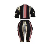 Colorful Strippes Crop Top and Mid Pants