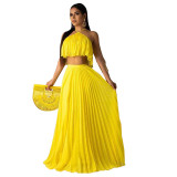 Casual Pleated Straps Crop Top and Skirts Set