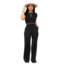 Casual Soild Color Crop Top and Flared Pants