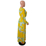 Printed V Neck Long Sleeve Maxi Dress