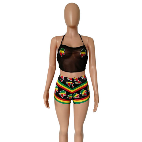 Africa Mesh See Through Crop Top and Shorts
