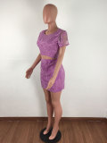 Lace Embroidered Backless Crop Top and Skirts Set