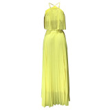 Casual Pleated Straps Crop Top and Skirts Set