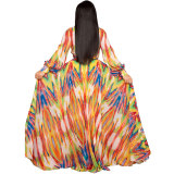 Printed Chiffon Floor Length Dress