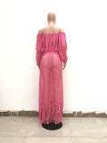 Sexy Hollow-out Tassel Design Two-piece Skirt Set (Cover-up)