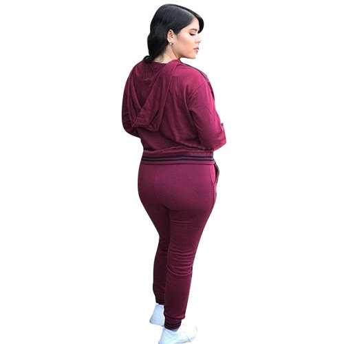 Eyelet Detail Strapped Hoodie Top and Pants