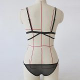 Rose Mesh Embroidery Perspective Bra Lingerie Set