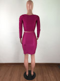 Round Neck Long Sleeve Pleated Skirt Set