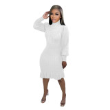 Casual Solid Basic Sweater Turtleneck Ruffle Hand-Knit Long Sleeve Dresses