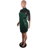 Sexy Mesh Sequined Fringed Bodycon Dress