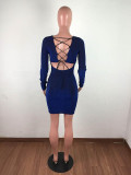 Solid Color V-neck Backless Bandage Mini Dress