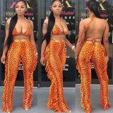 Casual Printed Mesh Two-piece Set with Panties