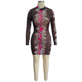 See Through Snakeskin Printed Mesh Night Sexy Club Dress