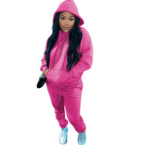 Womens 2 Pieces Joggers Outfits Long Sleeve Hoodie Sweatshirt and Skinny Pants Sports Sets