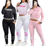 Casual Fashion Sweatshirt Set Thread Thickened Warm Pocketed Two-Piece Set