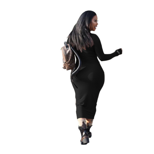 Casual Solid Black Embroidered Turtleneck Zipper One Step Skirt Dresses