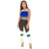 Casual Sports Crop Vest Top and Pant