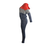 Casual Colorblock Hooded Zipper Pant Set