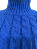 Casual Solid Basic Sweater Turtleneck Ruffle Hand-Knit Long Sleeve Dresses