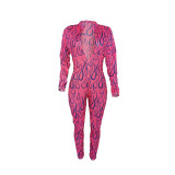 Hole Net Zipper Print Jumpsuit