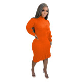 Casual Solid Basic Sweater Turtleneck Ruffle Hand-Knit Long Sleeve Dresses