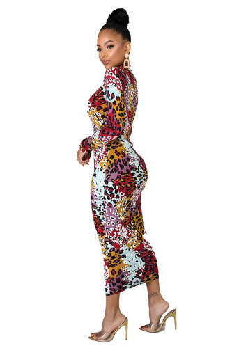 Casual Leopard Print Mid Dress