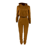 Coffee Velvet Thicken Sports Hoodie Jogging Pants Two Piece Winter Set For Women