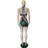 Sexy Colorful Printed Swimsuit Dress