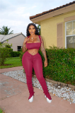 Solid Color Crop Top and Pleated Split Micro Trousers