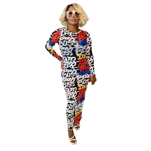 Casual O Neck Long Sleeve Printed Mesh Maxi Dress