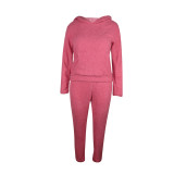 Solid Color Pink Plush Hooded Long Sleeve Winter 2 Piece Pant Set