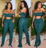 Solid Color Crop Top and Pleated Split Micro Trousers