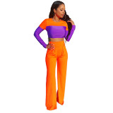 Casual Stitching Crop Top and Flared Pant