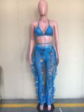 Casual Printed Mesh Two-piece Set with Panties