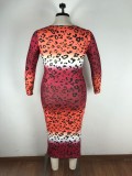 Plus Size Fat Gradient Mid Dress