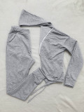 Casual Zipper V-neck Hooded Two Piece Pant Set