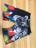 Casual Print Letter Men Shorts