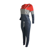 Casual Colorblock Hooded Zipper Pant Set