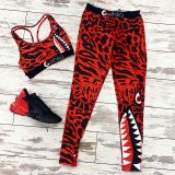 Casual Print Letter Vest and Trousers