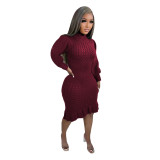 Casual Solid Basic Sweater Turtleneck Ruffle Hand-Knit Long Sleeve Dresses